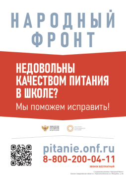 плакат народный фронт КСОШ